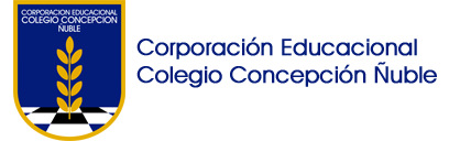 Corporación Educacional Colegio Concepción Ñuble
