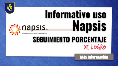 Informativo Uso de Napsis