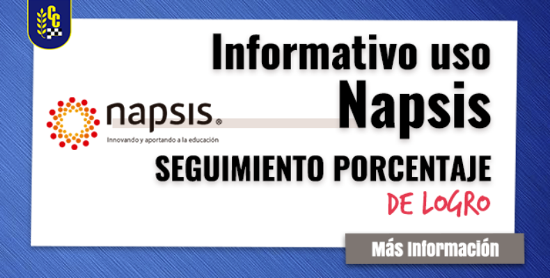 Informativo Uso de Napsis